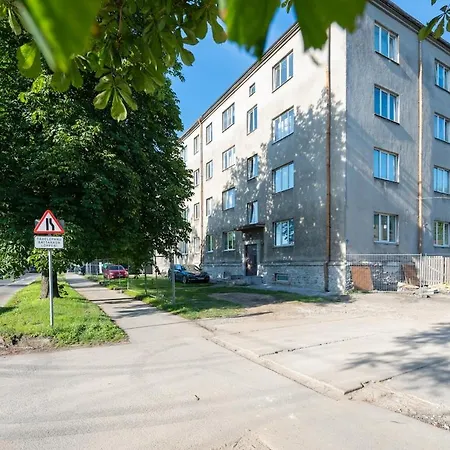 Designer In Telliskivi *